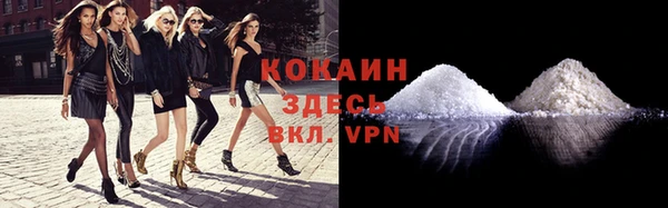 таблы Осинники