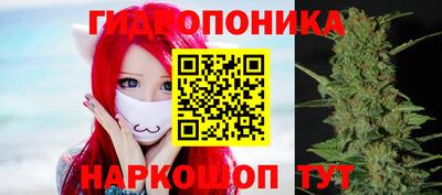 амф Балахна