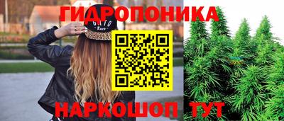 амф Балахна