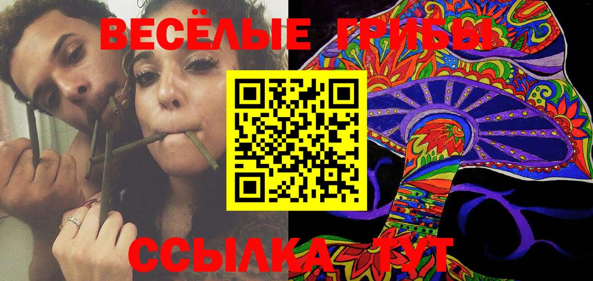Мефедрон  Cocaine  Мяу-Мяу  Бийск  ГАШ  Хэш  Вход с VPN 
