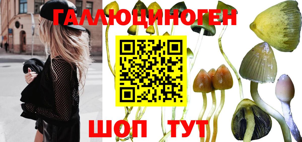 Галлюциногенные грибы ЛСД  Псилоцибиновые грибы Psilocybine cubensis  Бийск  Вход с VPN 