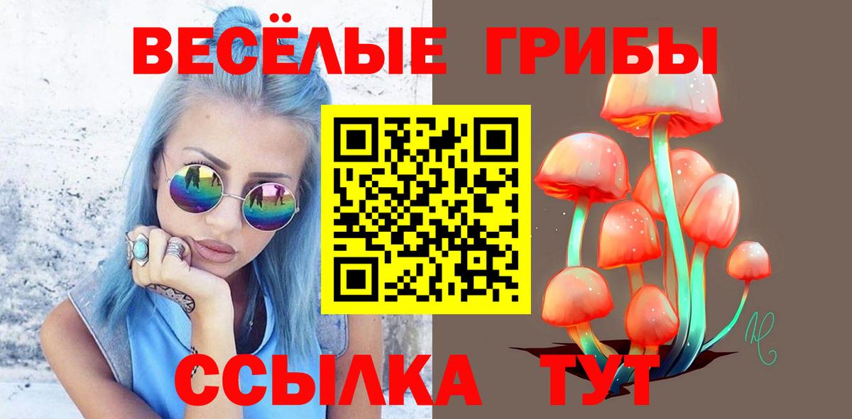 Псилоцибиновые грибы прущие грибы Бийск