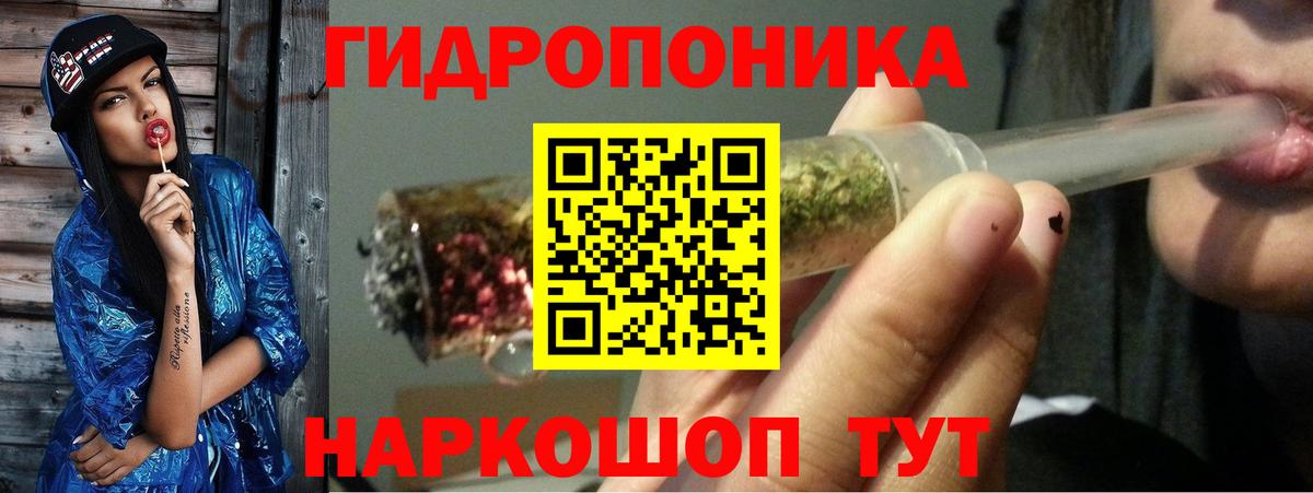 Шишки марихуана Bruce Banner  Бийск  Конопля MAZAR  Каннабис Amnesia 